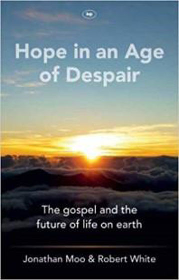 Picture of HOPE IN AN AGE OF DESPAIR PB