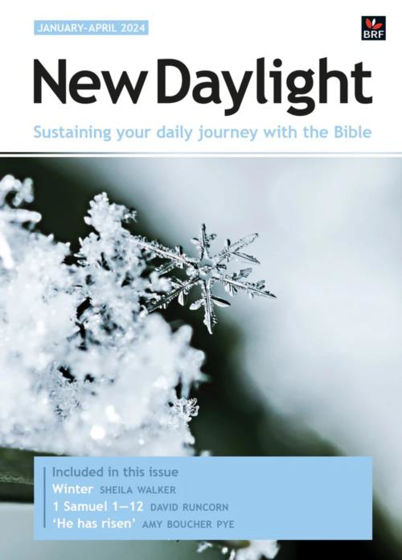 Picture of NEW DAY LIGHT LARGE PRINT DELUXE ED PB